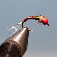 Chocalate Cherry