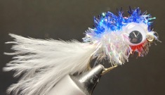 Spooky Shad