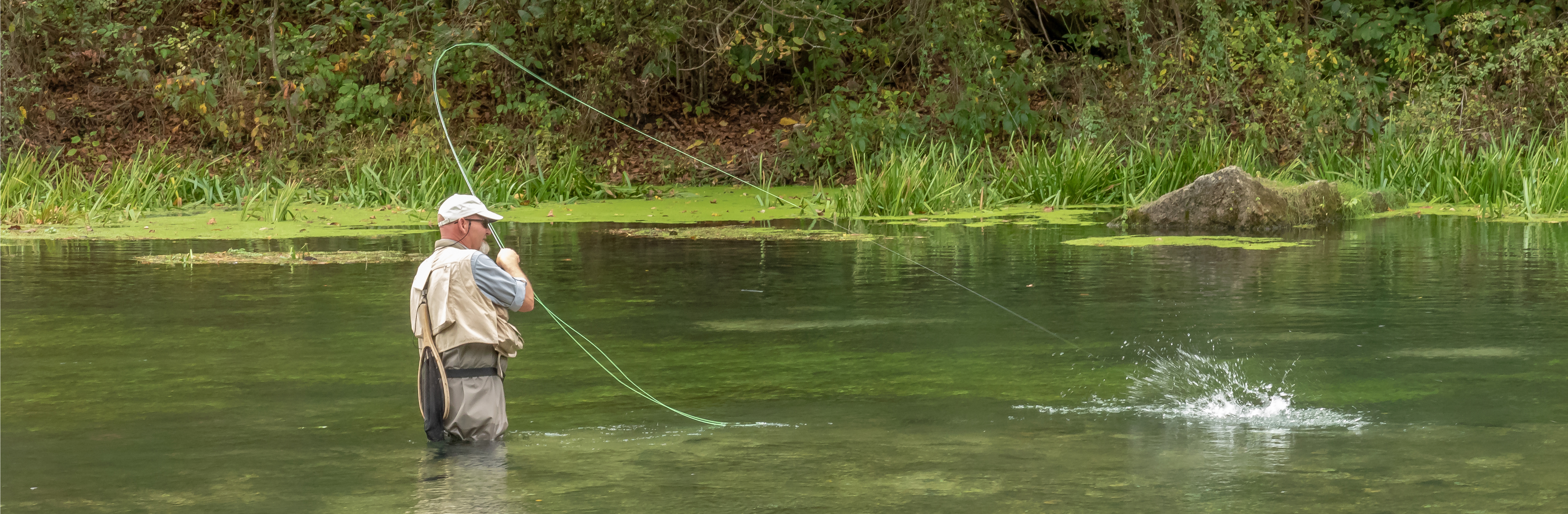 Rainbow trout on a Crackleback at Bennett Spring State Park.